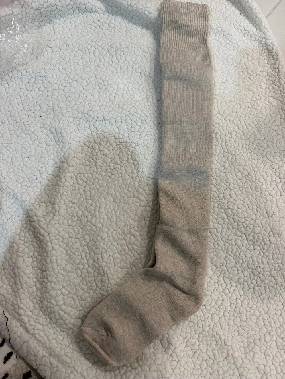 Women's Over-the-Calf Dress Sock in Light Taupe